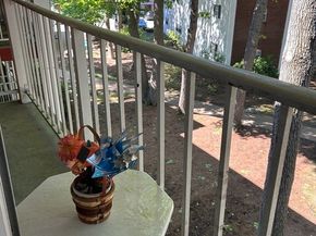 65 Greentree Ln 35, Weymouth MA 02190