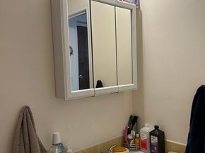 65 Greentree Ln 35, Weymouth MA 02190