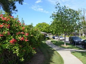 21072 Red Fir Court, Cupertino CA 95014