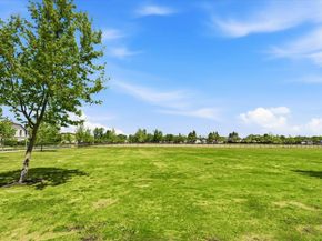 39502 S Darner Drive, Newark CA 94560