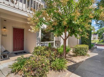 960 Lakeshire Court
