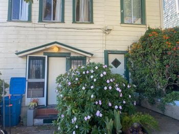 86 Ervine Street