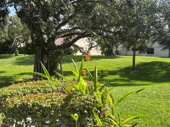 479 Hardwood Place