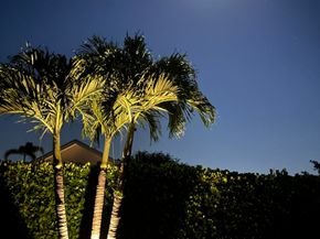15925 Springhill Court, Wellington FL 33414
