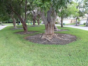 171 Bayridge Ln, Weston FL 33326