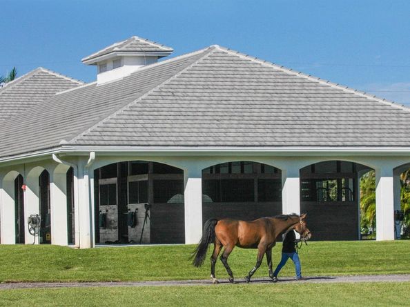 14939 Palm Beach Point Boulevard, Wellington FL 33414