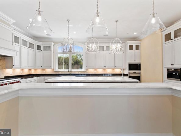Lot 1 Elsiragy Court, Mclean VA 22102