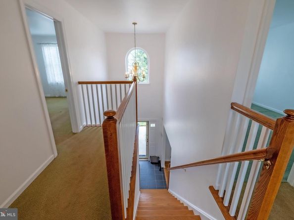 920 Napfle Avenue, Philadelphia PA 19111