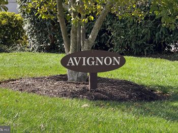 9 Avignon