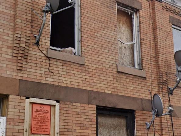 4423 N Gratz Street, Philadelphia PA 19140