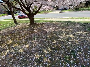 12520 Ridgegate Drive, Herndon VA 20170