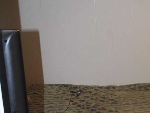 4725 Rosehill Street, Philadelphia PA 19120