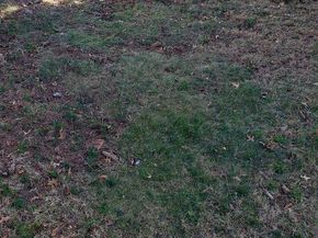 7419 Bingham Street, Philadelphia PA 19111