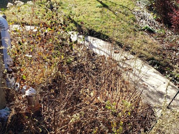 7419 Bingham Street, Philadelphia PA 19111