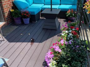 711 Jackson Street NE 3, Washington DC 20017