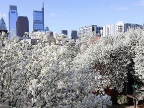 1631 Green Street E, Philadelphia PA 19130