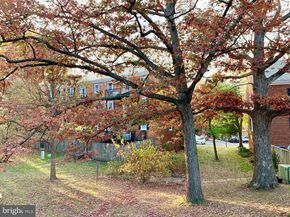 2856 S Buchanan Street B1, Arlington VA 22206