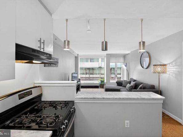 1101 3rd Street SW 111, Washington DC 20024