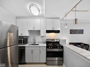 1101 3rd Street SW 111, Washington DC 20024