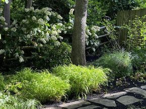 3402 Charleson Street, Annandale VA 22003