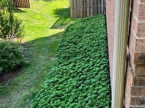 10109 Langhorne Court, Bethesda MD 20817