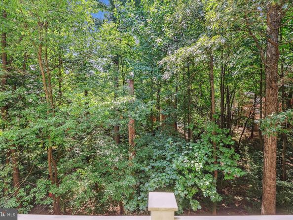 1307 Windleaf Drive 139  N, Reston VA 20194