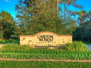 30 Johnathan Landing Court, Spring TX 77389
