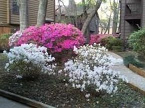 11711 Memorial Drive 570, Houston TX 77024