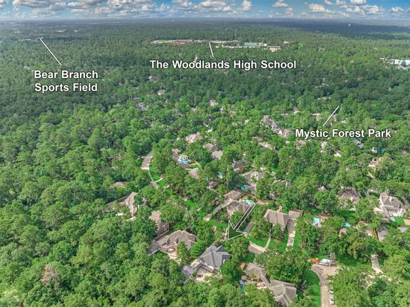 58 E Coldbrook Circle, The Woodlands TX 77381