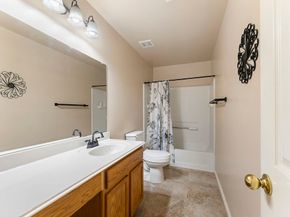 19222 Yaupon Ranch Drive, Cypress TX 77433