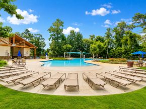 3835 Dortmund Drive, Spring TX 77386