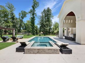 27311 Shady Hills Landing Lane, Spring TX 77386