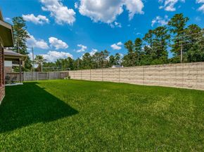 28314 Calaveras Lake Drive, Spring TX 77386