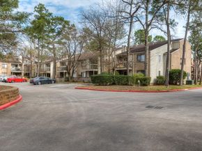 3500 Tangle Brush Drive 7, Spring TX 77381