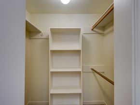 3500 Tangle Brush Drive 7, Spring TX 77381