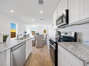 11910 Lilac Ice Lane, Houston TX 77048