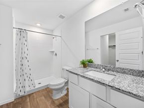 11910 Lilac Ice Lane, Houston TX 77048