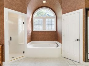 17314 Cedar Placid Lane, Houston TX 77068