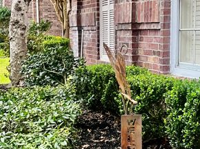 2015 Pecan Trail Drive, Richmond TX 77406