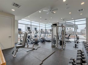 2207 Bancroft Street 1202, Houston TX 77027