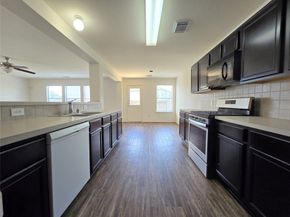 22911 Twisting Maple Court, Spring TX 77373