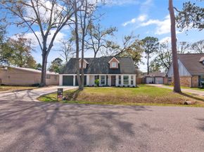 10031 Briarwild Lane, Houston TX 77080