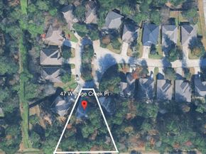 47 W Sage Creek Place, The Woodlands TX 77382