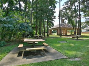 31235 Windcrest Park Lane, Spring TX 77386