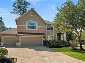 10 Waterfall Way, The Woodlands TX 77375