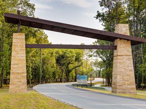 22294 Junction Peak Drive, Porter Heights TX 77365