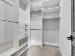 17416 Violet Vineyard St Street, Conroe TX 77302