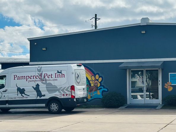 3724 Omeara Drive, Houston TX 77025