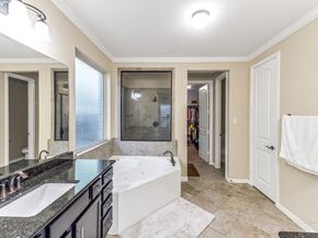 20115 Neals Rose Lane, Richmond TX 77407