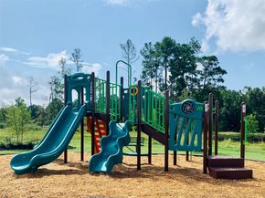 4915 Purple Wisteria Lane, Spring TX 77373